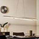 Oval LED hanging light Flair, aluminium