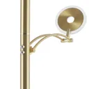 Paul Neuhaus Martin LED uplighter CCT brass
