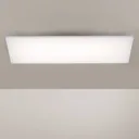 Paul Neuhaus Frameless ceiling lamp RGBW 60x30cm