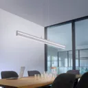 Paul Neuhaus Q-VITO linear pendant lamp, steel