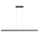 Paul Neuhaus Q-VITO linear pendant lamp, steel