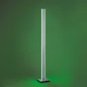 Paul Neuhaus Q-Adriana LED floor lamp height 140cm