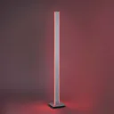 Paul Neuhaus Q-Adriana LED floor lamp height 140cm