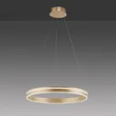 Paul Neuhaus Q-VITO LED pendant light, 1 ring