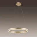 Paul Neuhaus Q-VITO LED pendant light, 1 ring