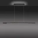 Paul Neuhaus Q-ARIAN LED pendant light, anthracite