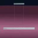 Paul Neuhaus Q-Adriana LED hanging light up/down