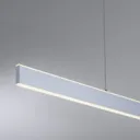 Paul Neuhaus Q-Adriana LED hanging light up/down