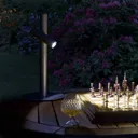 Paul Basic LED terrace light, one-bulb