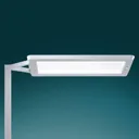 Yara.single LED floor lamp 4,000 K, BT, PIR, white