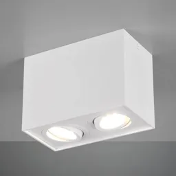 Biscuit ceiling light, two-bulb, white