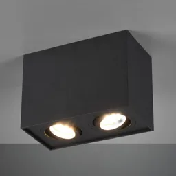 Biscuit ceiling light, two-bulb, black
