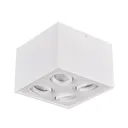 Biscuit ceiling light, four-bulb, white