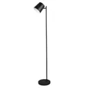 Blake LED floor lamp with battery, dimmable black