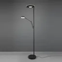 Barrie LED uplighter, reading light, matt black