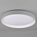 Zeta tunable white LED ceiling light, black/gold