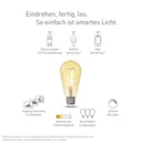 Müller Licht tint LED bulb retro gold E27 5.5 W