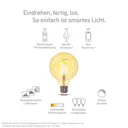 Müller Licht tint LED globe G95 E27 5.5 W gold