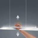 Beautifully shaped LED hanging light Sally