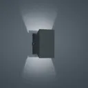 Helestra Free LED outdoor wall lamp graphite
