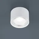 Helestra Kari LED ceiling light, round, white