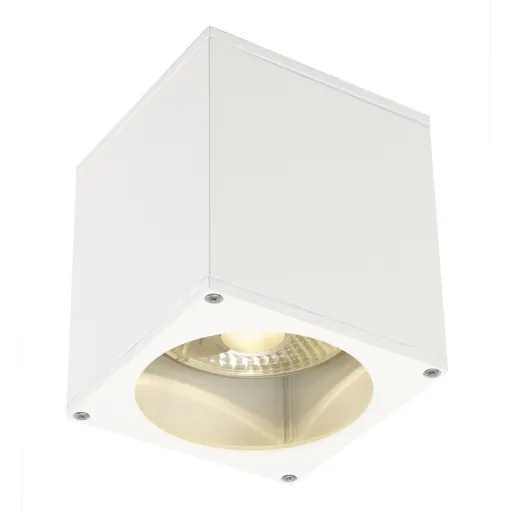 SLV Big Theo outdoor ceiling light, white