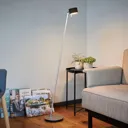 CAI LED floor lamp, dimmable, apple/wool white