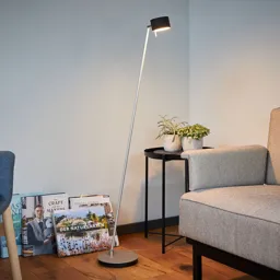 CAI LED floor lamp, dimmable, apple/wool white