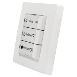 Rademacher DuoFern multi-channel wall switch