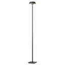 OLIGO Glance LED floor lamp matt grey