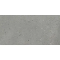 RAK Surface 2.0 Grey Matte Tiles - 300 x 600mm