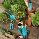 Gardena City Gardening Basic Equipment Hand Tool Gift Pack