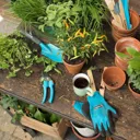 Gardena Basic Hand Tools Set