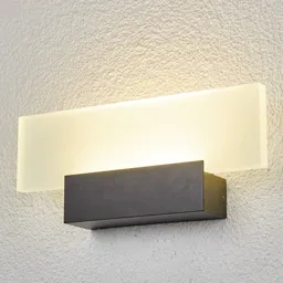 Rieke LED outdoor wall light