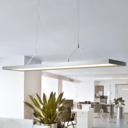 Dimmable office LED pendant light Dorean
