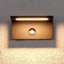 Darina LED outdoor wall lamp, motion detector
