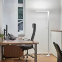 Logan white LED office floor lamp, dimmer 4,000 K