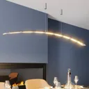 Manon - height-adjustable LED pendant lamp