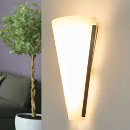LED wall light Luk