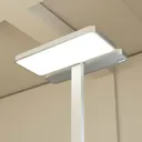 Aila office LED floor lamp, daylight sensor 4,000K