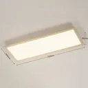 Arcchio Enja LED panel, 79.5 cm x 29.5 cm