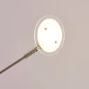 Three-bulb LED floor lamp Anea