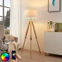 Lindby Smart LED floor lamp Alessa, app, RGB