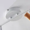 Two-bulb LED ceiling lamp Arina