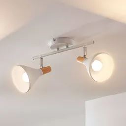 Two-bulb LED ceiling lamp Arina