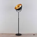 Floor lamp Muriel, 1-bulb, black/gold