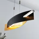 Marija LED hanging light, vertical panel, black