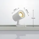 Iavo three-circuit track system spotlight, white