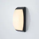 Alexey LED outdoor wall lamp, IP65, dark grey