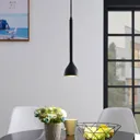 Nordwin hanging light, one-bulb, black and gold